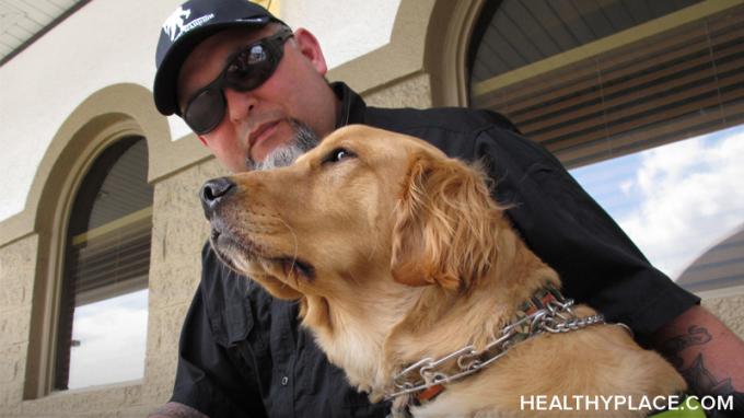 K dispozici jsou speciálně vyškolení psi služební PTSD, ale mohou psi opravdu pomoci s PTSD a mohou psi s terapií PTSD pomoci při zotavení? Zjistěte více na HealthyPlace.