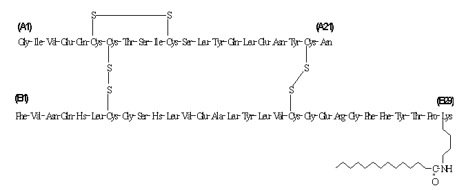 Struktura molekul inzulínového detemiru