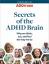 Zdroj expertů zdarma: Odhalování záhad vašeho mozku ADHD