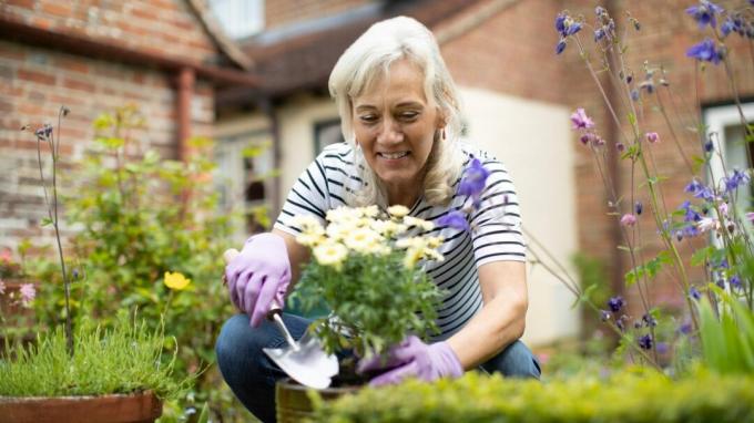 Starší žena zalévání rostlin v zahradě doma