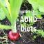 ADHD a diety pro dospělé